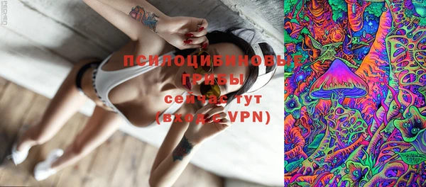 ешки Армянск