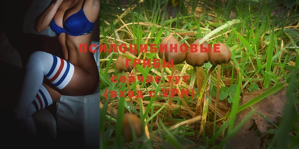 гашиш Аркадак