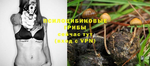 ешки Армянск